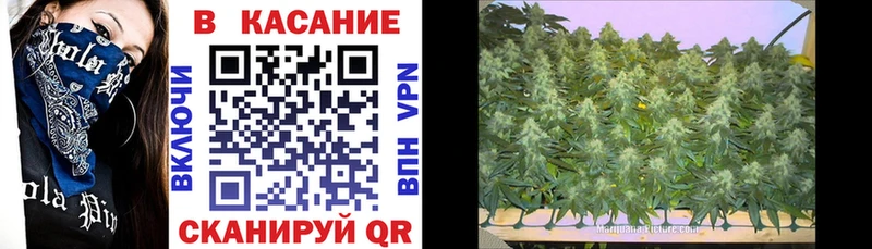 ГАШИШ Камень-на-Оби