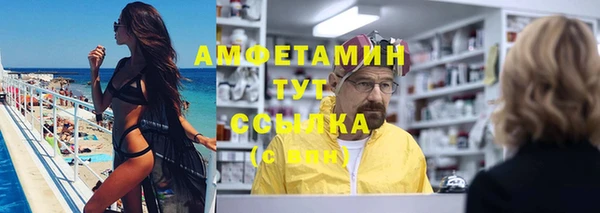 прущие грибы Вязники