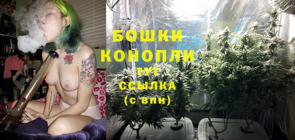 сатива Володарск