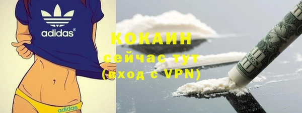 молекула духа Волоколамск