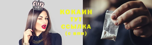 прущие грибы Вязники