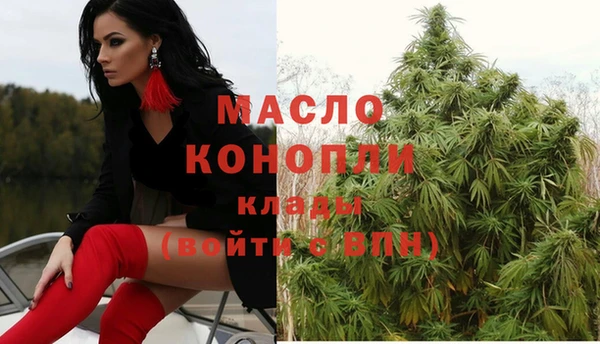 молекула духа Волоколамск