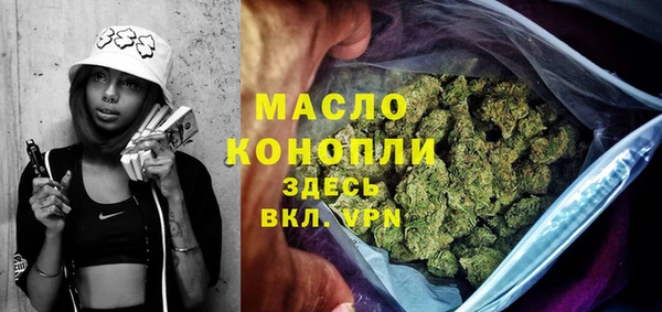 молекула духа Волоколамск