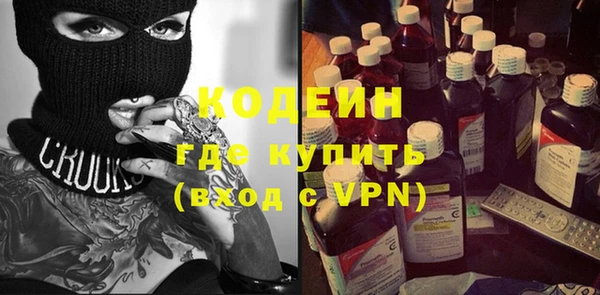 прущие грибы Вязники