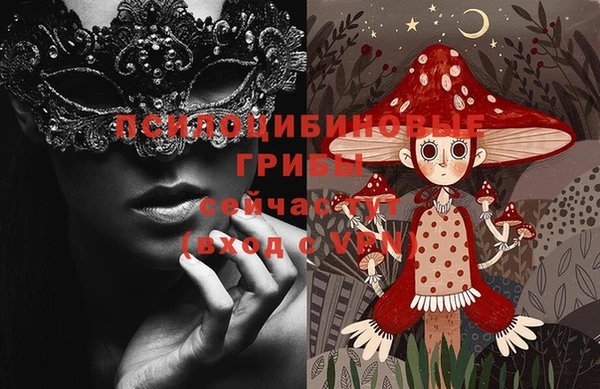 прущие грибы Вязники