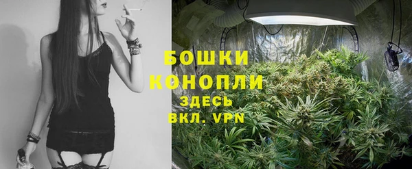 ГАЛЛЮЦИНОГЕННЫЕ ГРИБЫ Волосово