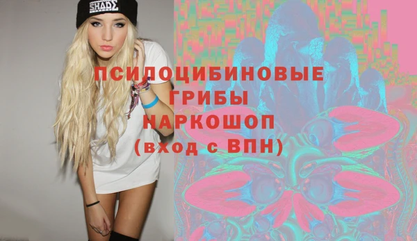 сатива Володарск