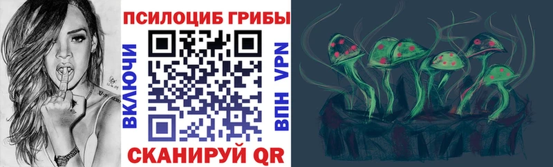 купить наркоту  Камень-на-Оби  Галлюциногенные грибы Cubensis 